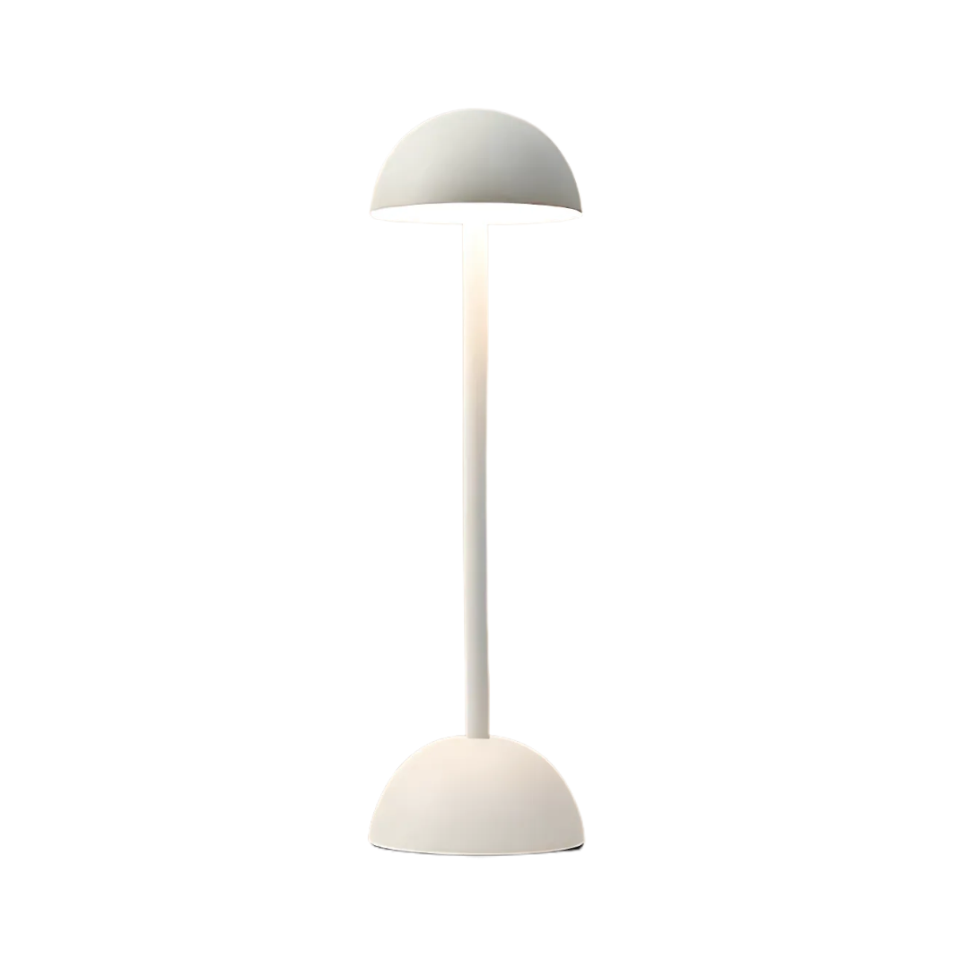 Portable Dimmable Desk Lamp with USB Charging