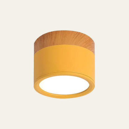 Slim LED Ceiling Fixture Modern Cylinder Light