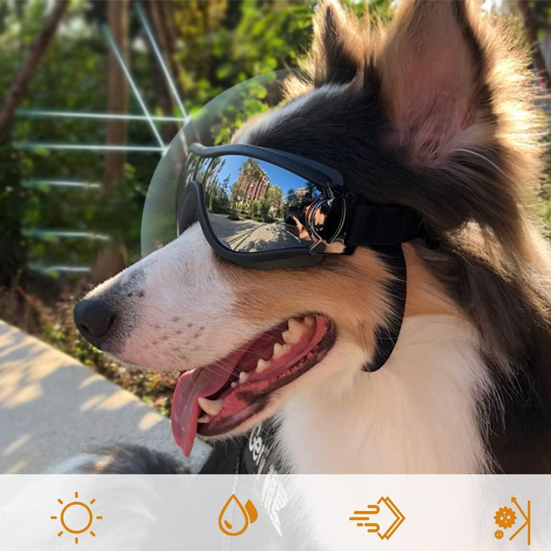Dog Sunglasses Outdoor Pet Eye Protection