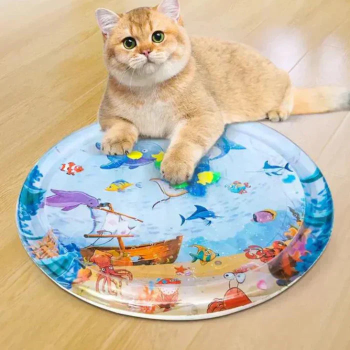 Fun Cat Play Pad – JumpJoy Noxord - Cofik