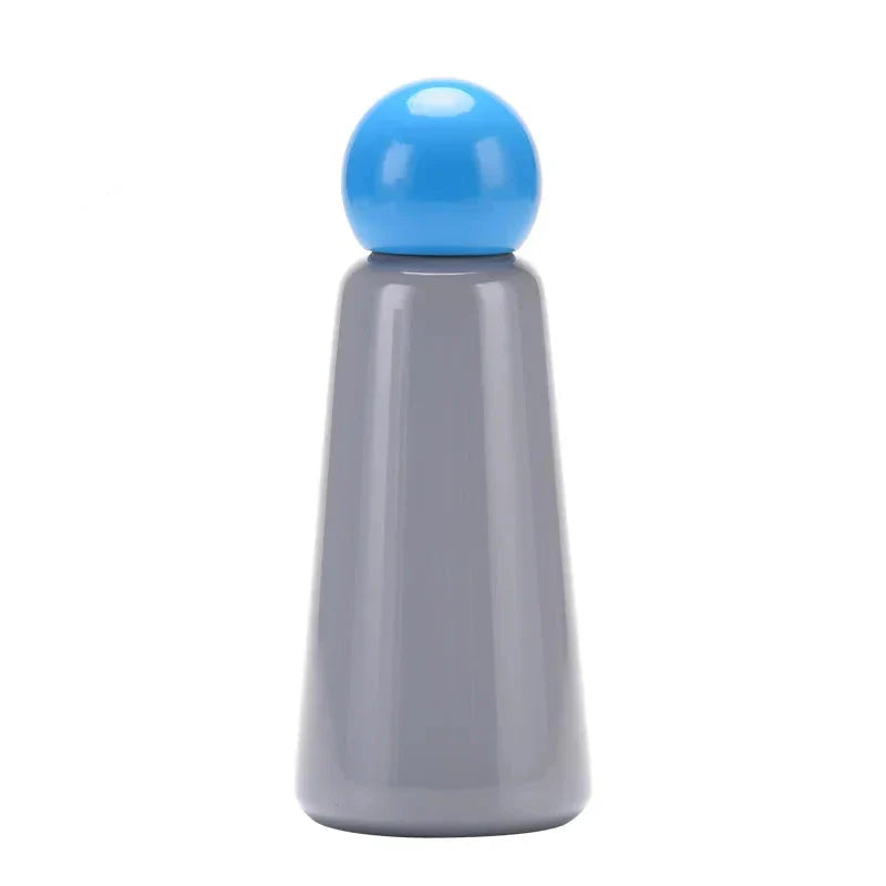 Insulated Thermal Water Bottle