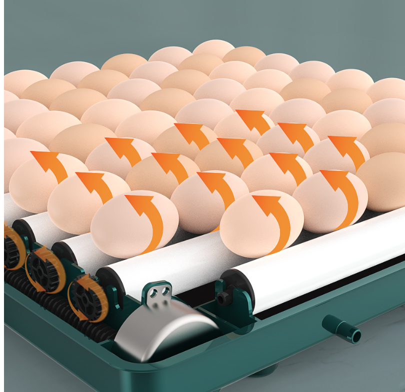 Automatic Egg Incubator with Adjustable Temperature Tray