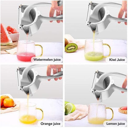 Summer Stainless Steel Cold Press Juicer