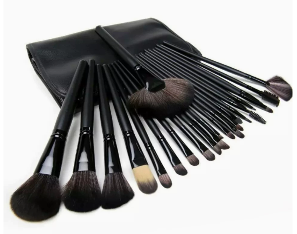 Complete 24 Piece Makeup Brush Kit with Case