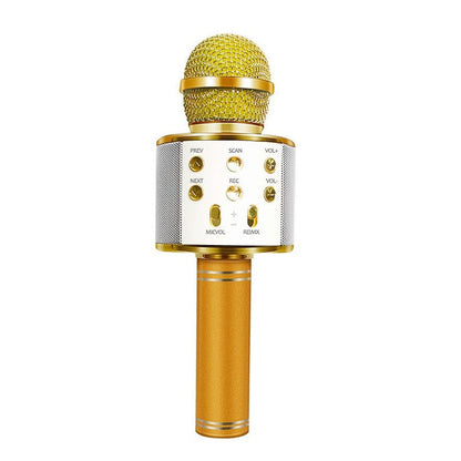 Portable Wireless Karaoke Mic