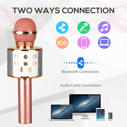 Portable Wireless Karaoke Mic