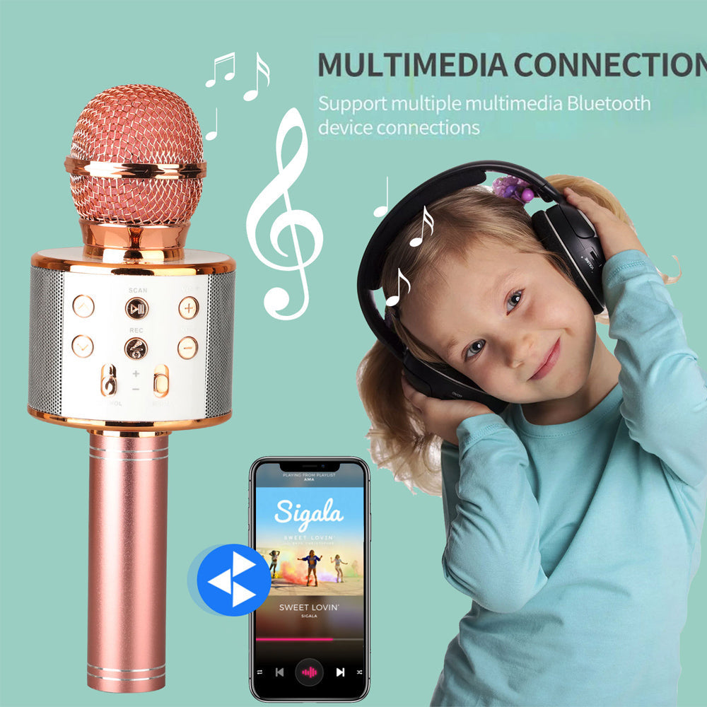 Portable Wireless Karaoke Mic