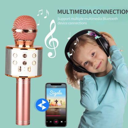 Portable Wireless Karaoke Mic