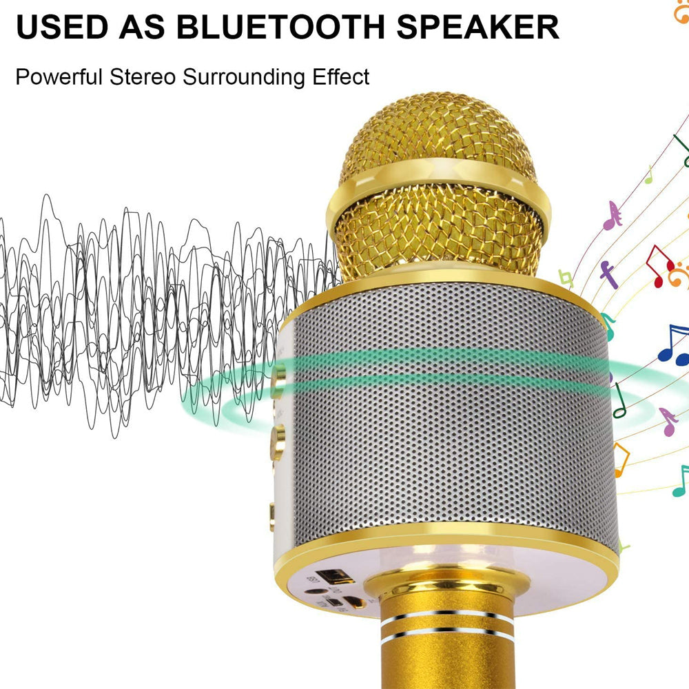 Portable Wireless Karaoke Mic