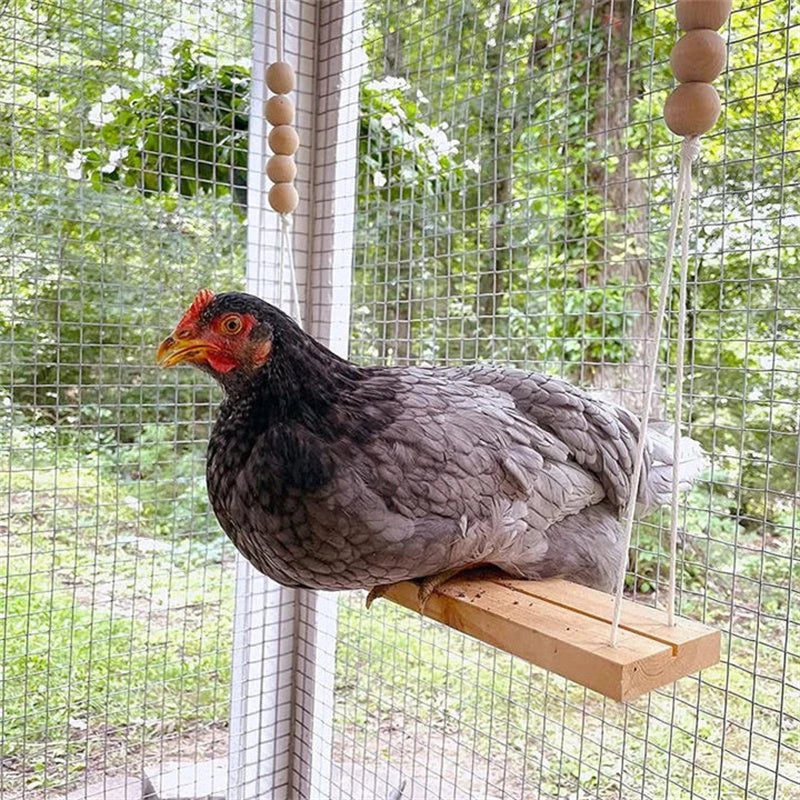 Fun Pet Chicken Playground Toy