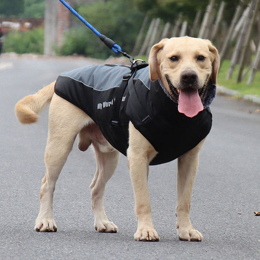 Waterproof Insulated Dog Coats - Cofik