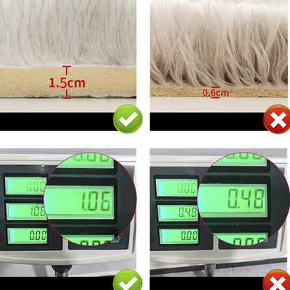 Soft Plush Indoor Area Rug Multicolor Stain Resistant Carpet