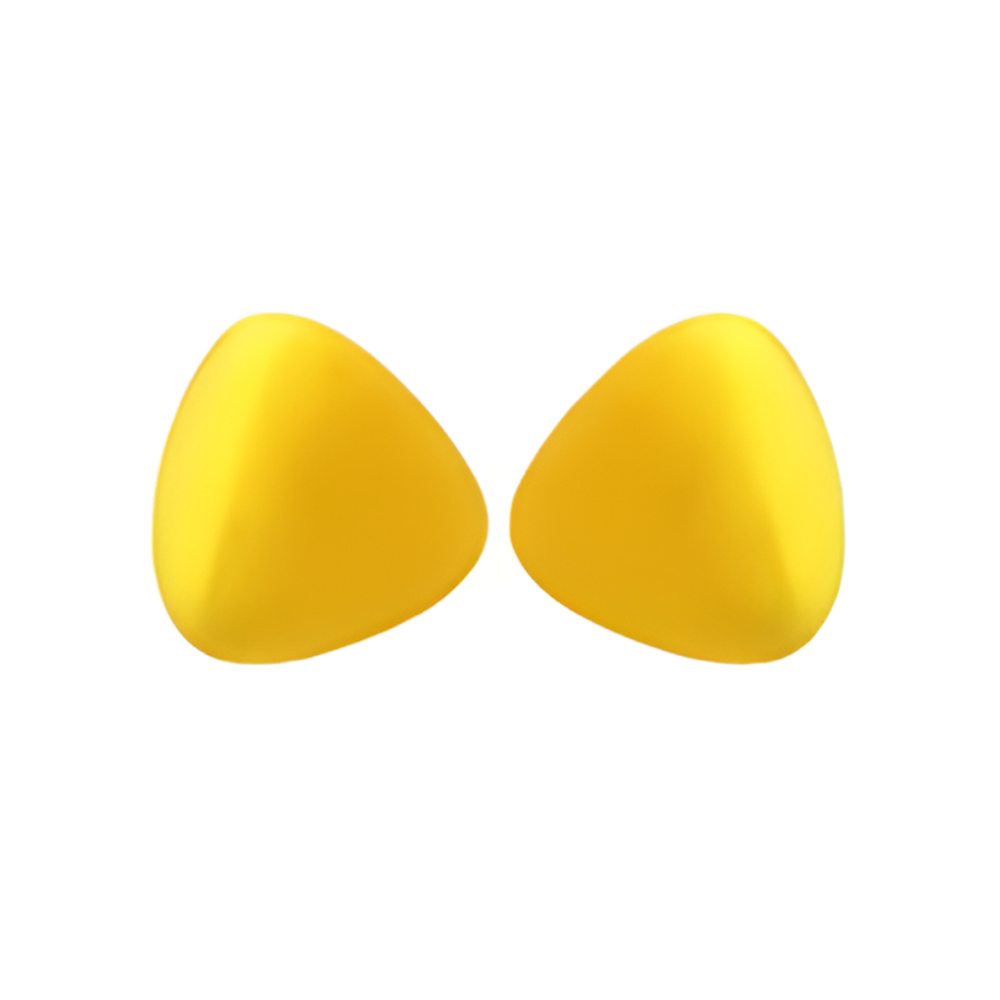 Comfortable Noise Blocking Earplugs