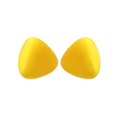 Comfortable Noise Blocking Earplugs