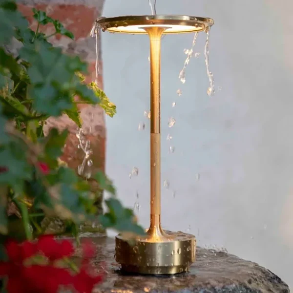 Stylish Desk Table Light