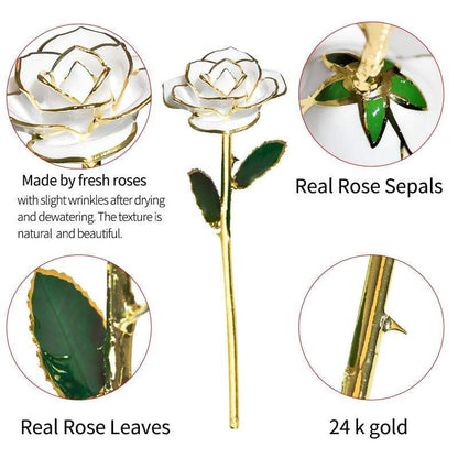 Luxurious 24k Gold Plated Long Lasting Rose