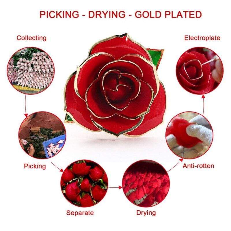 Luxurious 24k Gold Plated Long Lasting Rose