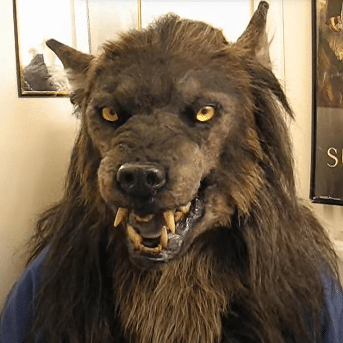 Wild Werx Fierce Animal Mask