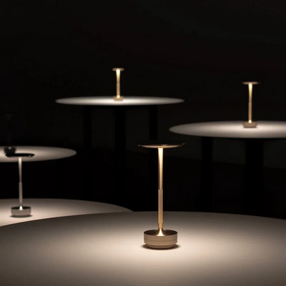 Stylish Desk Table Light