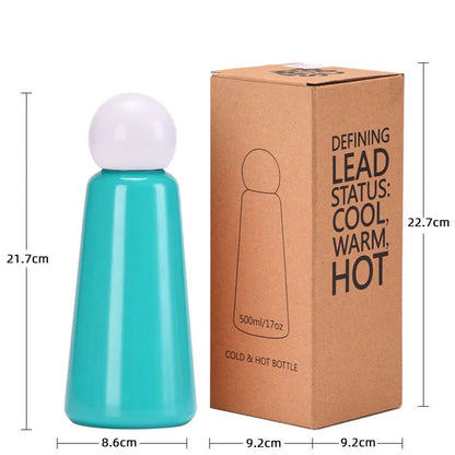 Insulated Thermal Water Bottle