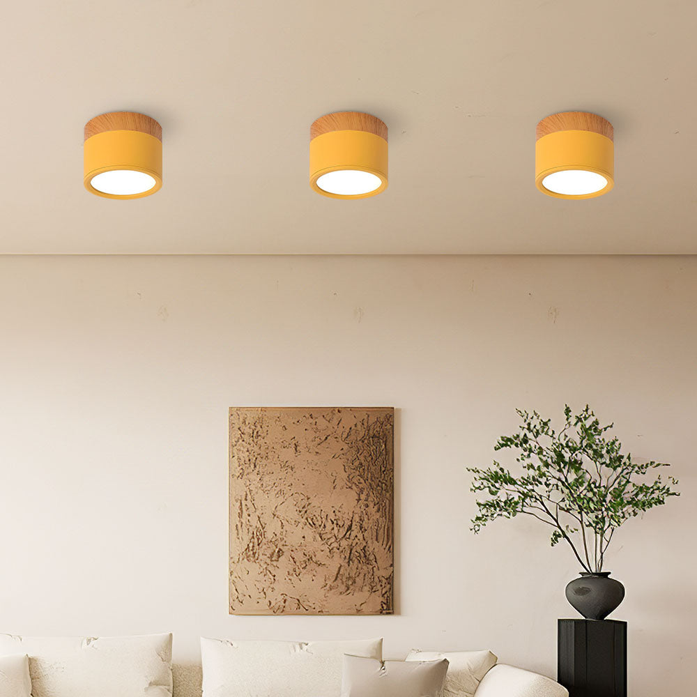 Slim LED Ceiling Fixture Modern Cylinder Light