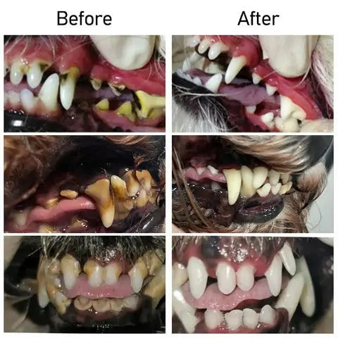 Natural Pet Oral Care Gel