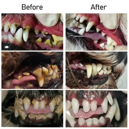 Natural Pet Oral Care Gel