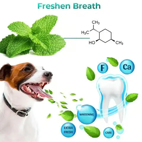 Natural Pet Oral Care Gel