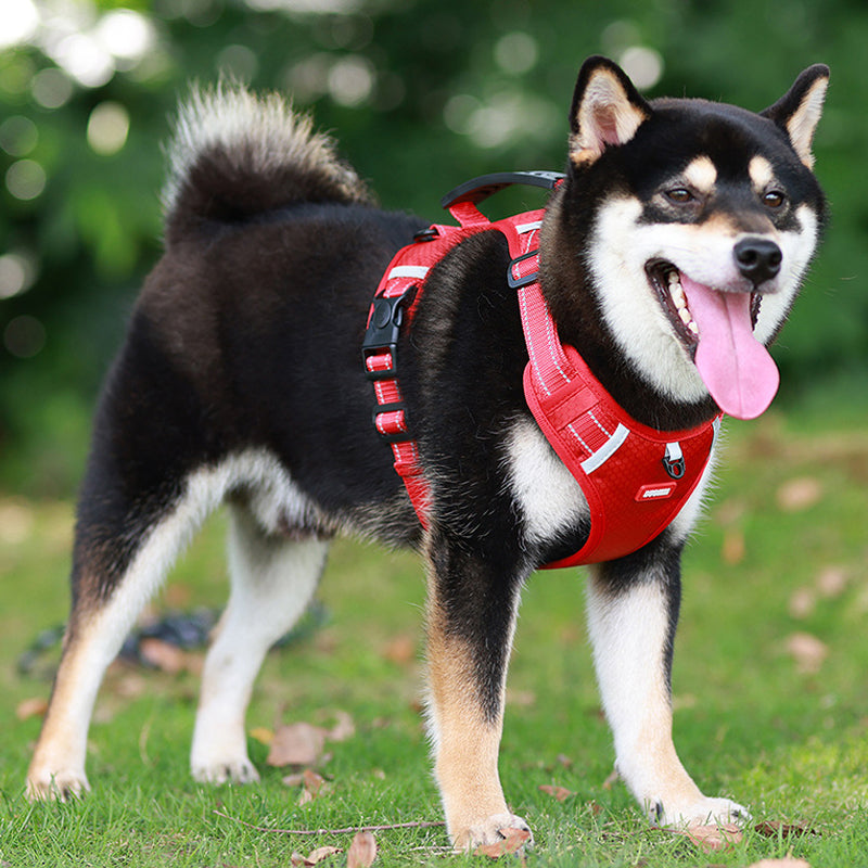 Safe Reflective Pet Harness