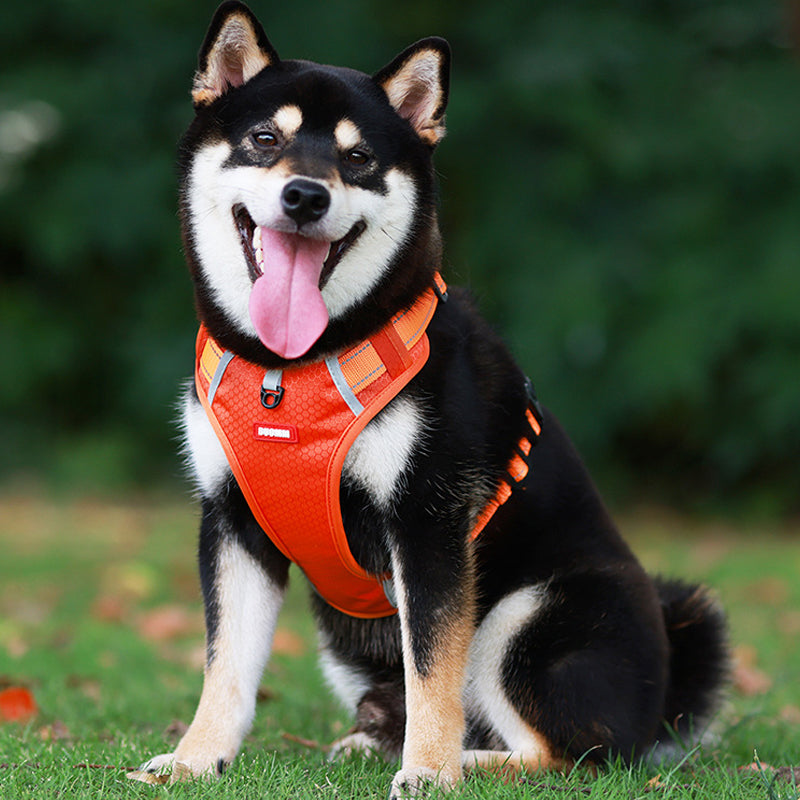 Safe Reflective Pet Harness