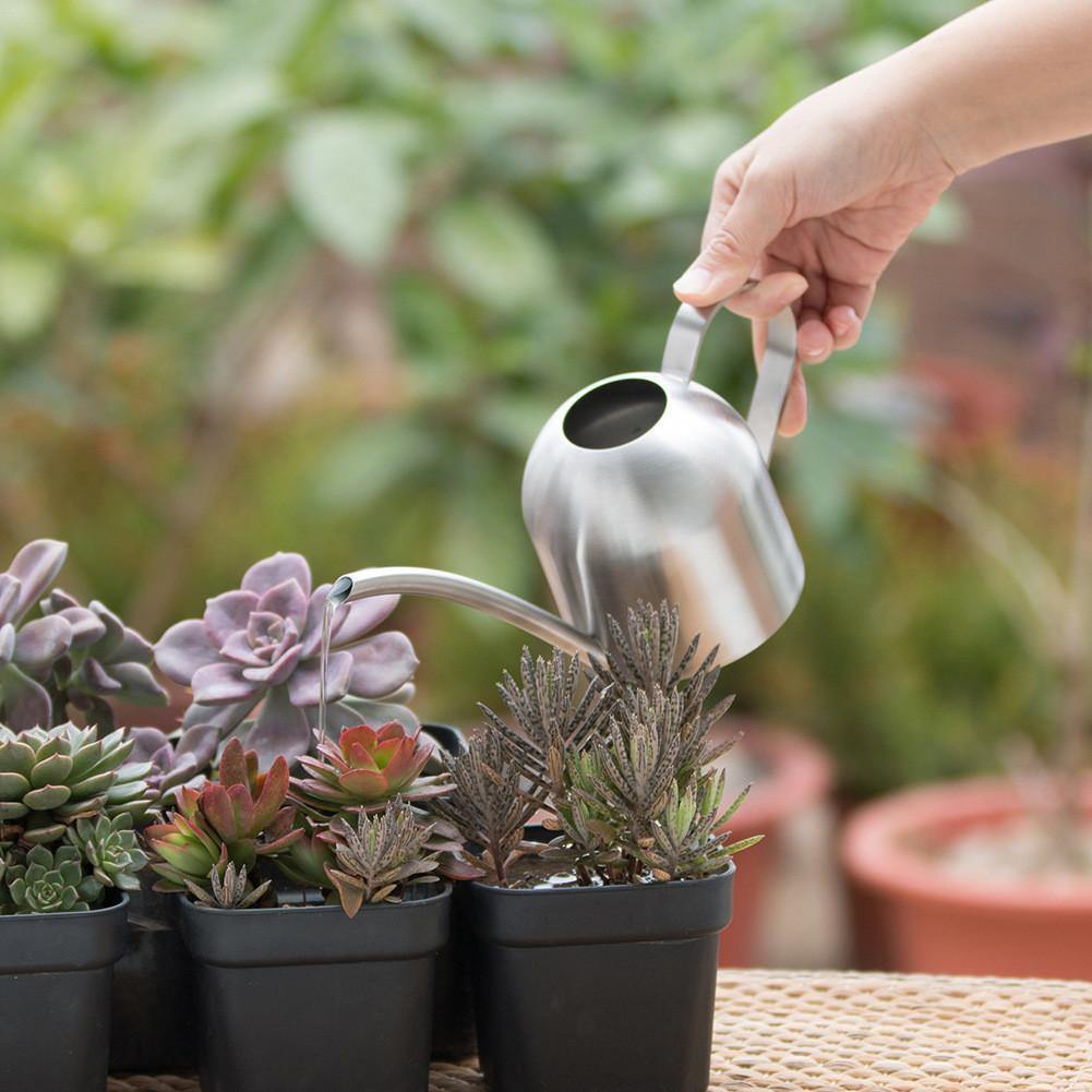 Durable Stainless Steel Watering Can with Long Spout - Cofik
