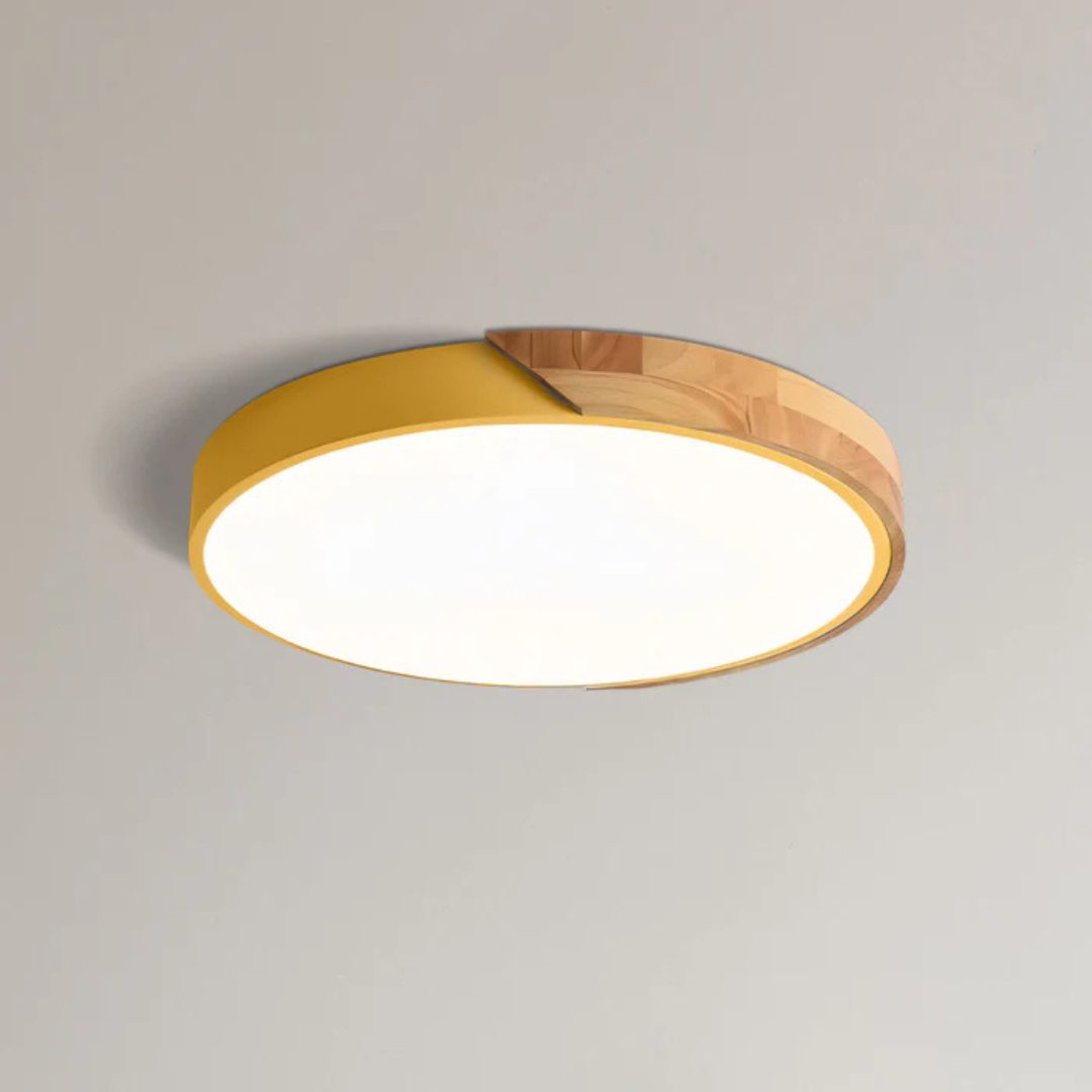 Eco Friendly Modern LED Ceiling Light