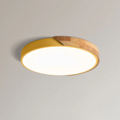 Eco Friendly Modern LED Ceiling Light