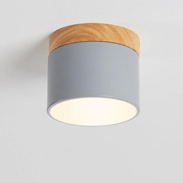 Modern LED Ceiling Lamp Adjustable Color