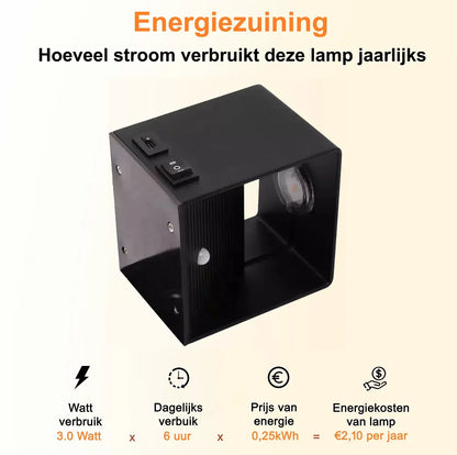 Energy Saving Automatic LED Wall Light