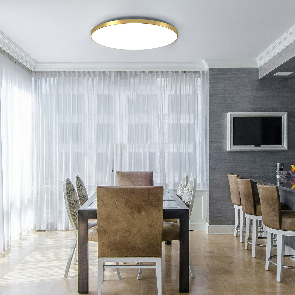 Sleek Contemporary LED Ceiling Light Fixture