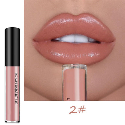 Moisturizing Long Lasting Lip Color