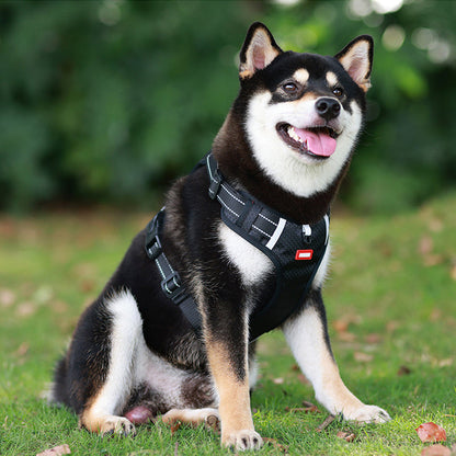 Safe Reflective Pet Harness