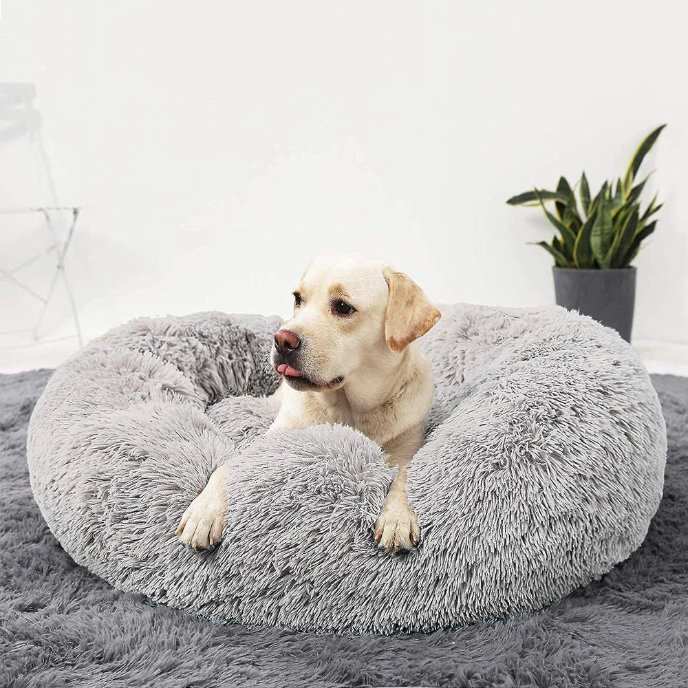 Luxury Pet Bed Noxord
