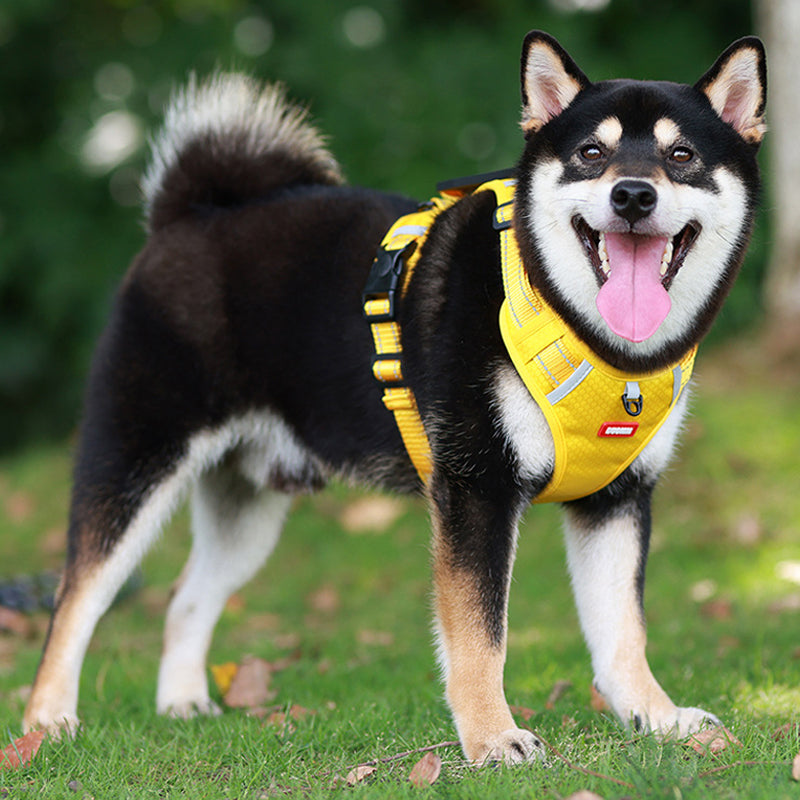 Safe Reflective Pet Harness