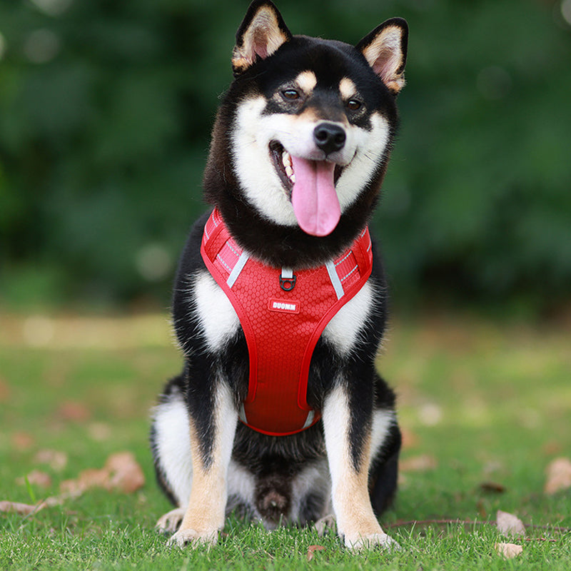 Safe Reflective Pet Harness