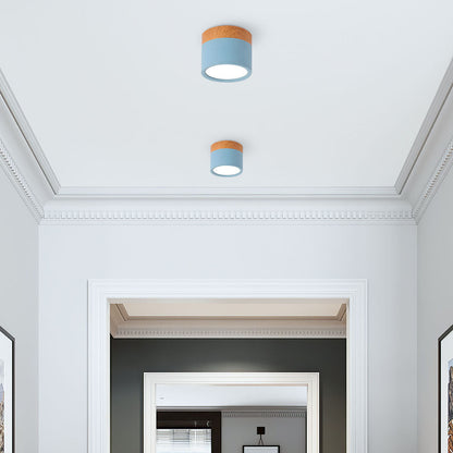 Slim LED Ceiling Fixture Modern Cylinder Light