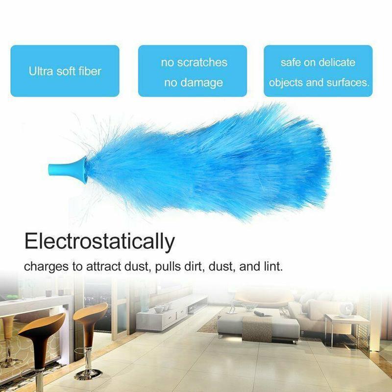 Powerful Extendable Duster with 2 Removable Heads