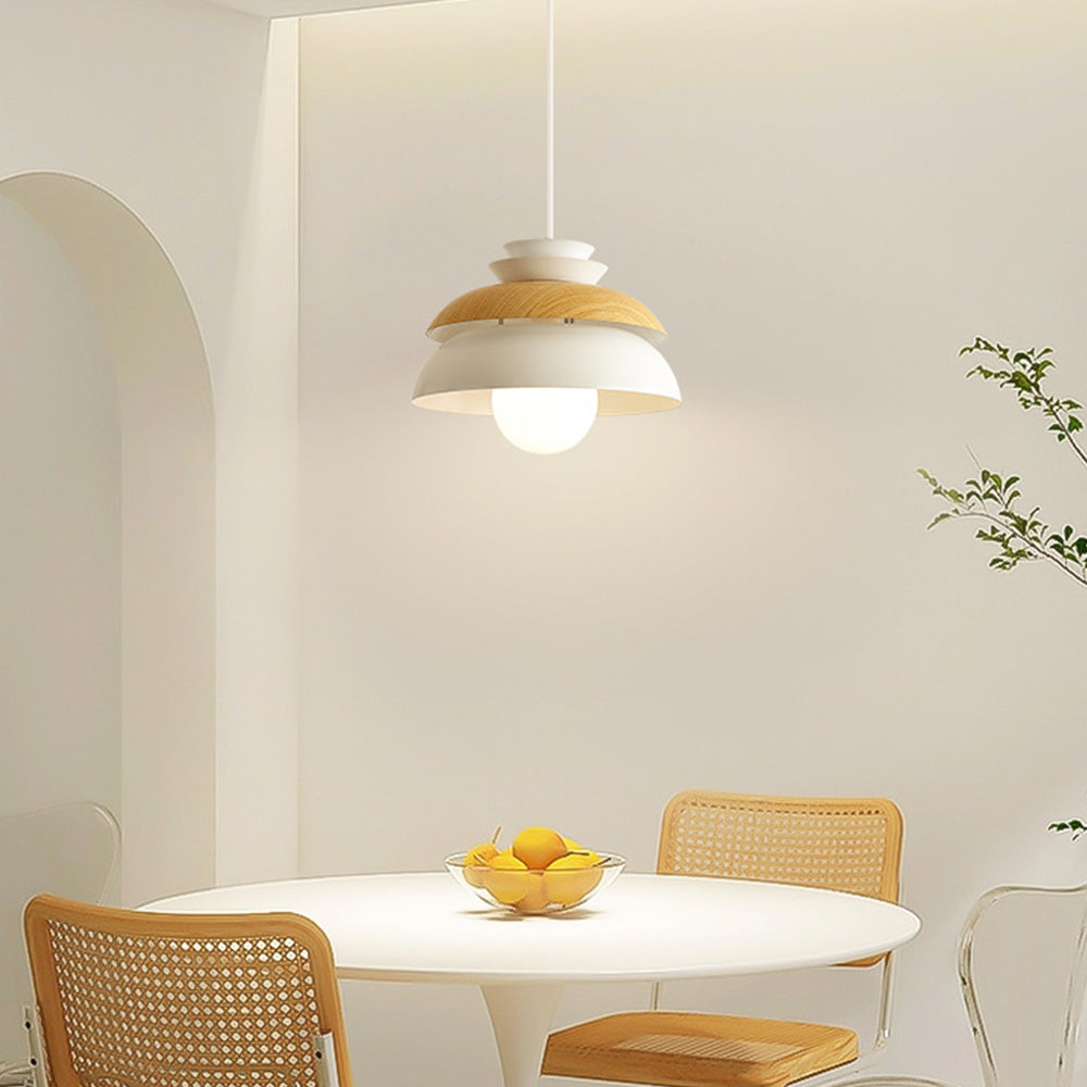 Modern Round Pendant Hanging Ceiling Light