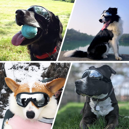 Dog Sunglasses Outdoor Pet Eye Protection