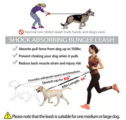 Adjustable Dog Running Leash with Pouch Bag