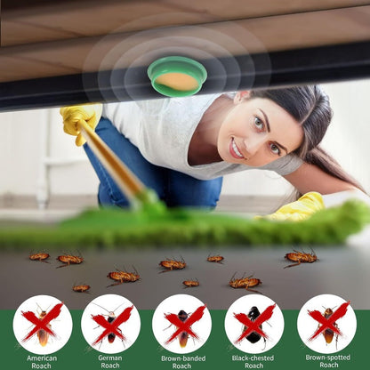 Non-Toxic Roach Killer Bait Stations