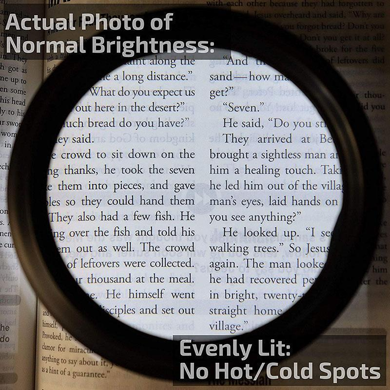LED Magnifying Reading Glasses