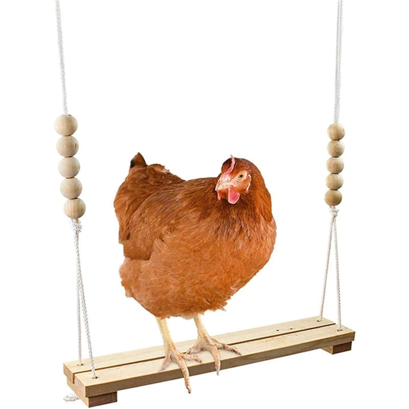 Fun Pet Chicken Playground Toy - Cofik