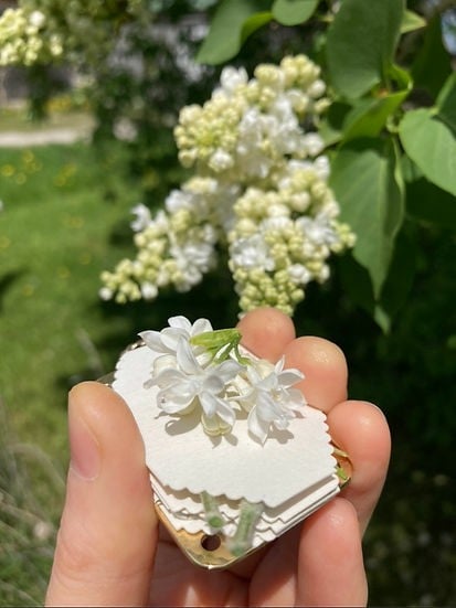 Small Flower Press Kit Portable Craft Tool
